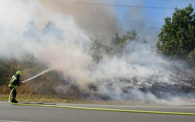 1600 Quadratmeter Böschung in Flammen